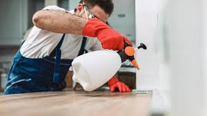 Real Estate Pest Inspections in Wynne, AR